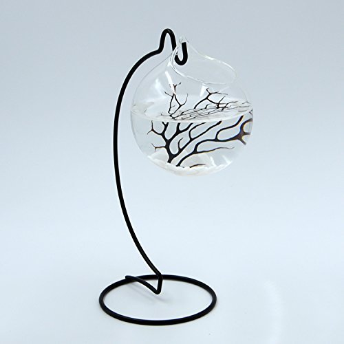 hodgea Creative zum Aufhängen Glas Kugel Vase Transparent Kultur Blume Home Hochzeit Dekoration, Glas, style 2 - 2
