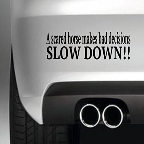 A SCARED HORSE BUMPER STICKER FUNNY BUMPER STICKER CAR VAN 4X4 WINDOW PAINTWORK DECAL GRAPHIC