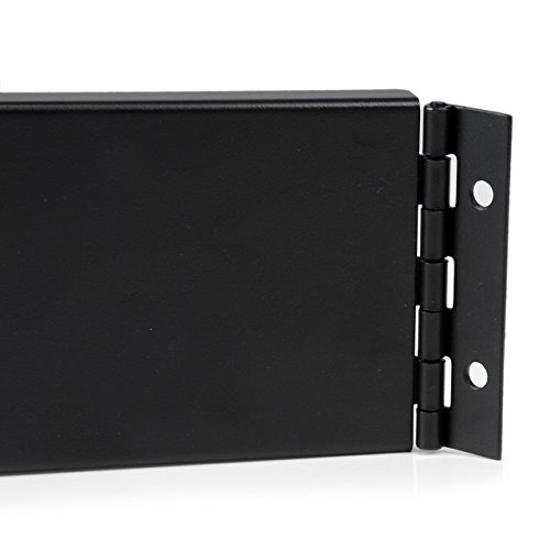 StarTech RKPNLHS2U 2HE Rackblende 48,26 cm (19 Zoll) mit Scharnier - 4