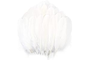 TYEQWT 400 Pcs Feathers for Crafts, Ideal for Wedding Ornament, Arts and Crafts for Kids, Feather Mask Making, DIY Feather Boa, Dream Catcher Decoration, Coloured Feathers