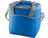 Nevera bolsa termica azul Papillon 5080122 Nevera Bolsa Térmica, 20 litros, Multi, 47x8x34 cm