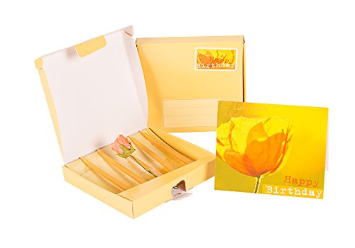 Preisvergleich Produktbild Dipam Kerzen Lichtgrüsse - Happy Birthday