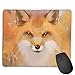 Price comparison product image Mouse Pad Beautiful Fox Oil Painting Rectangle Rubber Mousepad 8.66 X 7.09 Inch Gaming Mouse Pad with Black Lock Edge