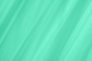 LE ANTICHE MERCERIE TESSUTO TULLE MORBIDO IN TINTA UNITA AL METRO ALTEZZA 300 CM IN VARI COLORI (VERDDE SMERALDO 220)