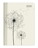 Ladytimer Blowballs 2020 - Pusteblume - Taschenkalender A6 (11 x 15) - Weekly - 192 Seiten - Notizbuch - Terminplaner by