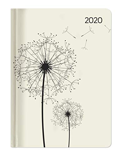 Ladytimer Blowballs 2020 - Pusteblume - Taschenkalender A6 (11 x 15) - Weekly - 192 Seiten - Notizbuch - Terminplaner