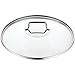 Produktbild WMF Glasdeckel Astoria Ø 24cm Metallgriff spülmaschinengeeignet