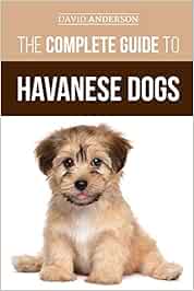 havanese housebreaking