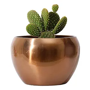 Homspurts Metallic Sunshine Pot Rose Gold (4.7 inches) Multipurpose Pot/Desktop Flower Planter/Home d