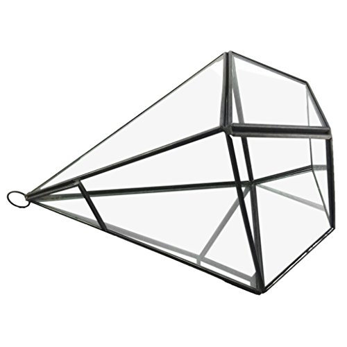 Generic Modern Design Glas Terrarium Geometrisches Sukkulente Pflanzen Deko - Rautenförmig - 12 * 12 * 24,5 cm