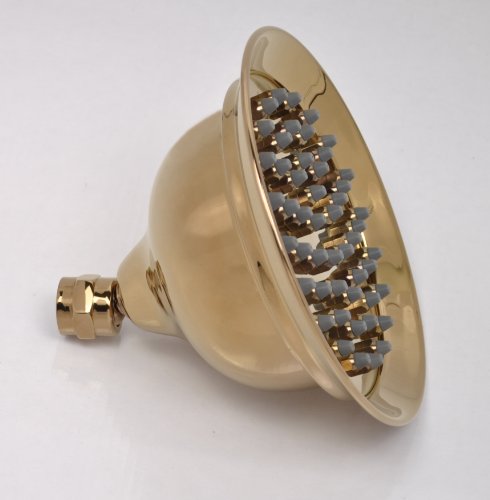 nostalgischer Brausekopf in Antik-Optik (Gold) - 2
