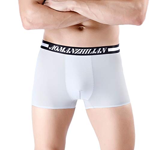 Preisvergleich Produktbild Herren Boxershorts Unterwäsche Unterhosen Männer Retroshorts Beiläufige Strecken Atmungsaktiv Slips Schnell trocknend Bikini (XXL, Silver)