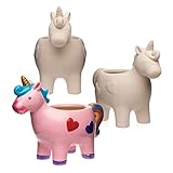 maceta unicornio Tamaño perfecto para cultivar hierbas, vestidos o plantas pequeñas y flores.