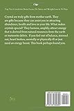 Image de Top Ten Crystals for Brain Focus, De-Stress and Weight Loss in 30 Days: Mother Nature's gifts