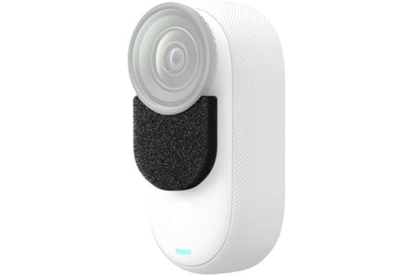 Protection Anti-Vent pour Micro Insta360 GO 3/GO 3S