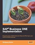 Image de SAP Business ONE Implementation