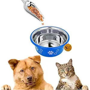 Sage Square Heavy Quality, Round Shape, Stainless Steel Food / Drink Bowl for Dog / Cat / Other Pets (900ml, Blue)