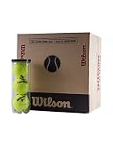  Pelotas de Tenis/Padel Wilson TP Plus