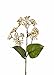 Produktbild artplants Set 6 x Künstliche Wasserdost Dayton, weiß-grün, 35 cm - Deko Eupatorium/Kunstblume