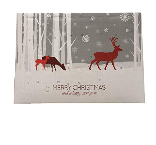 Preisvergleich Produktbild Männer Adventskalender, Multifunktionswerkzeuge, Werkzeug Überraschungen 24-teilig für kleine Reparaturen, Geschenkidee von heimatkuss. auch für Heimwerker-Frauen, Sale Rabatt