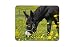 Produktbild Schöne Esel Mauspad Pad - Pferd Kinder nette Animal Gift PC Computer # 8259
