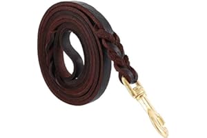 DANDELIONSKY Guinzaglio per Cani Intrecciato in Cuoio Vero Corda di 3 metri per Cane Grande o Medio Regolabile di Addestramento