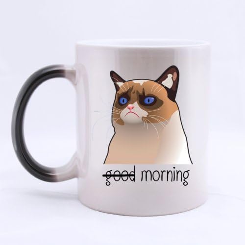 Good Morning Grumpy Cat- Funny Magic Morphing Mug 11oz Coffee Mugs or Tea Cup Cool Birthday/christmas Gifts for Men,women,him,boys and Girls by Funny Designed Mugs