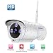 Produktbild Wlan IP Kamera 1080P HD Sicherheitskamera Außen /IP cam mit LAN & Wlan/Wifi IP66 Wasserdicht, P2P Pantilt Bewegungsmelder,Email, 20 IR Nachtsicht, für Haustier/Baby Monitor by SZSINOCAM
