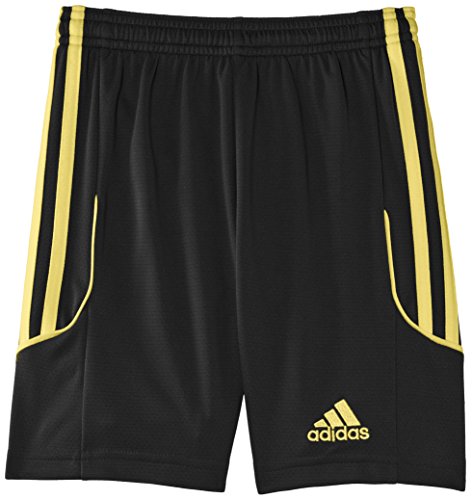 adidas Kinder Shorts Squadra 13