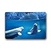 Produktbild vbndfghjd Hi,Doormat White Beluga Whale Doormat Outdoors/Indoor Machine Washable Home Floor Mats Rugs 23.6"x15.7" Inches