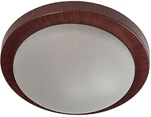 PBPL Ceiling Canopy Lights For Interiors And Exterior Of House