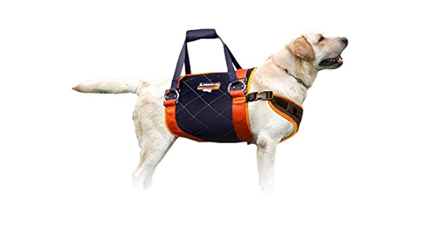 fusion dog harness