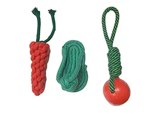RvPaws Combo of 3 Durable Pet Teeth Cleaning Chewing Biting Knotted Small Puppy Toys -100% Natural & Safe Cotton (Color May Vary)