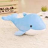 Adorables juguetes para niños y adultos de todas las edades. Podría ser una hermosa decoración de hogar en escritorio, dormitorio.