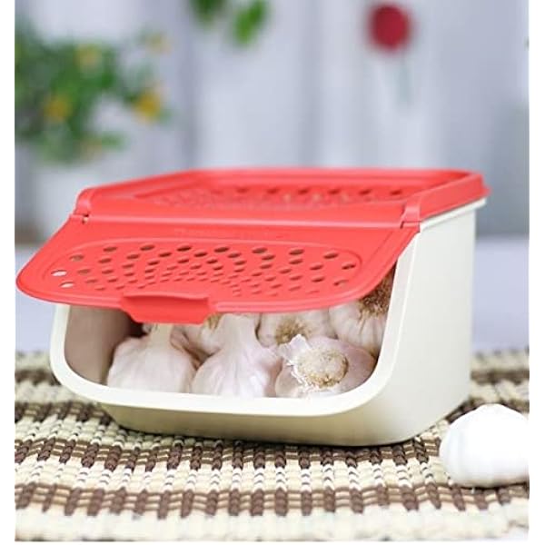 Kitchen & Home Plastic Containers Garlic 2.3LitreNew Onion Keeper
