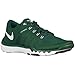 Produktbild Nike Free Trainer 5.0 TB (Deep Forest/White, 10)