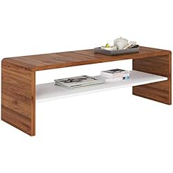 IDIMEX Table Basse Noelle, Table de Salon rectangulaire ou Meuble TV de 120 cm avec 1 étagère Espace de Rangement Ouvert, en mélaminé Couleur Noyer et Blanc Mat