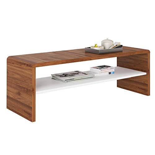 IDIMEX Table Basse Noelle, Table de Salon rectangulaire ou Meuble TV de 120 cm avec 1 étagère Espace de Rangement Ouvert, en mélaminé Couleur Noyer et Blanc Mat