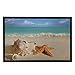 Produktbild Custom Beach Ocean Theme Sea Life Starfish Seashell Machine-Washable Door Mat Indoor/Outdoor Doormat Size 24(L) x 16 (L31.5"X19.5"W) Area Rugs