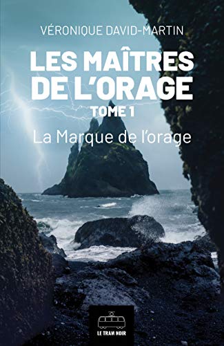 Les Maitres de l'orage - Tome 1: La marque de l'orage par [David-Martin, Véronique]