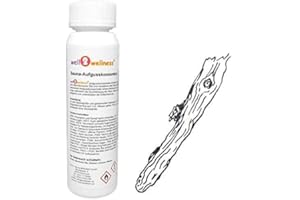 well2wellness Huile essentielles pour Sauna Bois de Santal 125ml