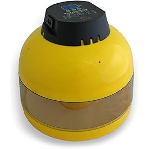 Brutmaschine 10 Eier Brutapparat Flächenbrüter Inkubator Brutkasten