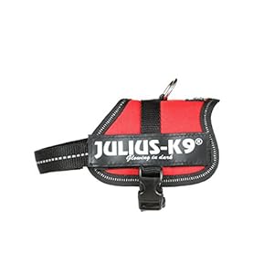 Julius-K9 Baby 2, 33-45 cm, Rojo