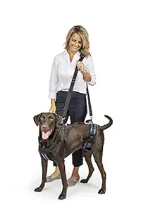 Solvit Dog Lifting Aid Mobility Harness (Black, Large)