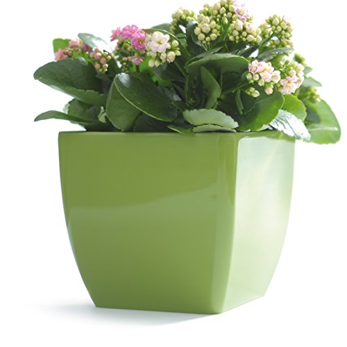 Blumentopf viereckig Coubi mit Untersetzer 12 cm weiß glänzend Blumentöpfe Pflanzen - 3