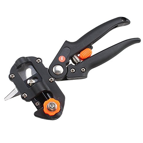 Veredelungsschere Gartenschere-AGPtek Professionelle Cutting Tool Astschere Rebschere Baumschere Blumenschere Holzschere hochbeanspruchbares Handwerkzeug für Ihre Gartenarbeit – Pfropfen Pruner mit 2 Ersatzmesser Pfropfen Band - 4