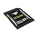 Produktbild Patriot PSF128GSDXC10 128GB LX Series Class 10 SDXC Card