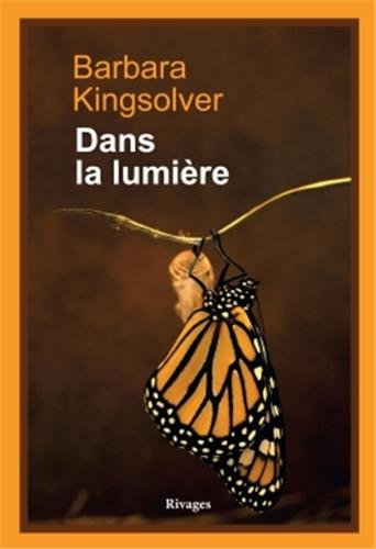 couverture de : Dans la lumi&egrave;re