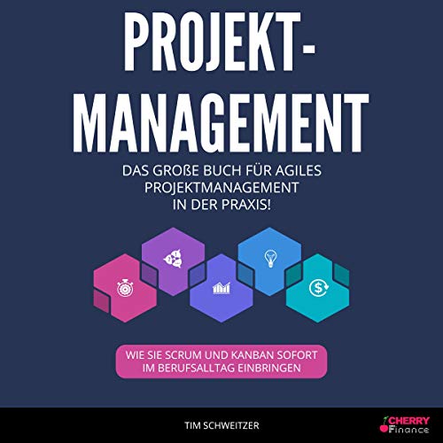 Die Besten Hörbücher Projektmanagement Dieprojektmanager - 