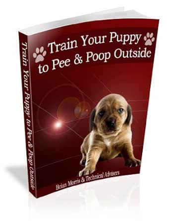 training a puppy to pee and poop outside